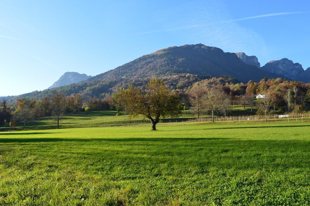 B&B Giardini Dell'Ardo Belluno Exterior foto